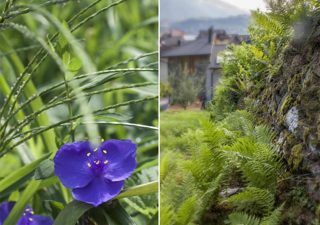 Agriturismo Farmhouse La Barberina カルチェラーニカ・アル・ラーゴ エクステリア 写真