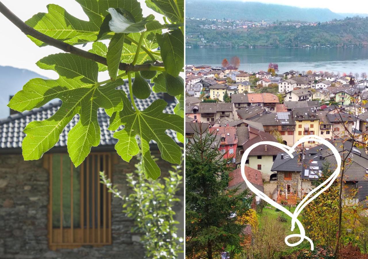 Agriturismo Farmhouse La Barberina カルチェラーニカ・アル・ラーゴ エクステリア 写真